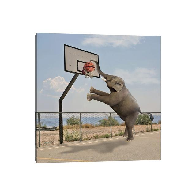 Basketball Maturi Size: 45.72cm H x 45.72cm W x 1.91cm D on Productcaster.