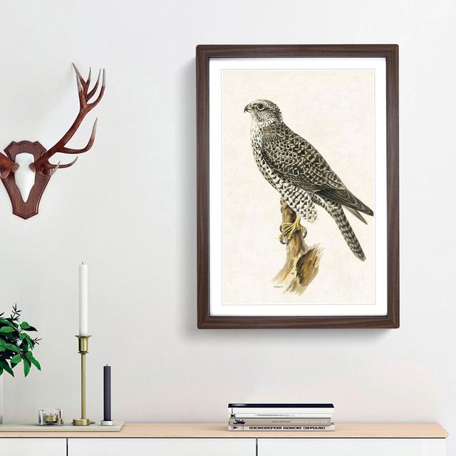 Gyrfalcon by Von Wright - Picture Frame Painting Print East Urban Home Size: 36cm H x 27cm W x 2cm D, Frame Option: Walnut Framed on Productcaster.