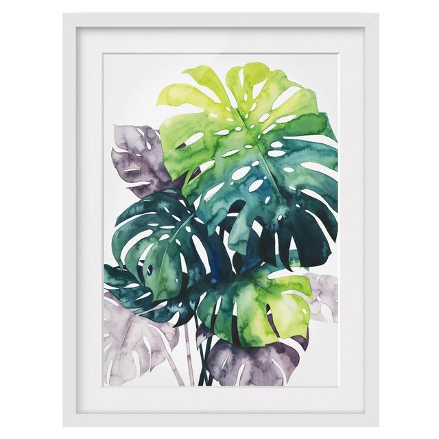 Exotic Foliage - Monstera - Picture Frame Painting Bay Isle Home Frame Option: White Framed, Size: 55cm H x 40cm W x 2cm D on Productcaster.