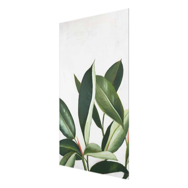 'Favourite Plants-Rubber Tree' Graphic Art on Glass East Urban Home Size: 90 cm H x 60 cm W on Productcaster.