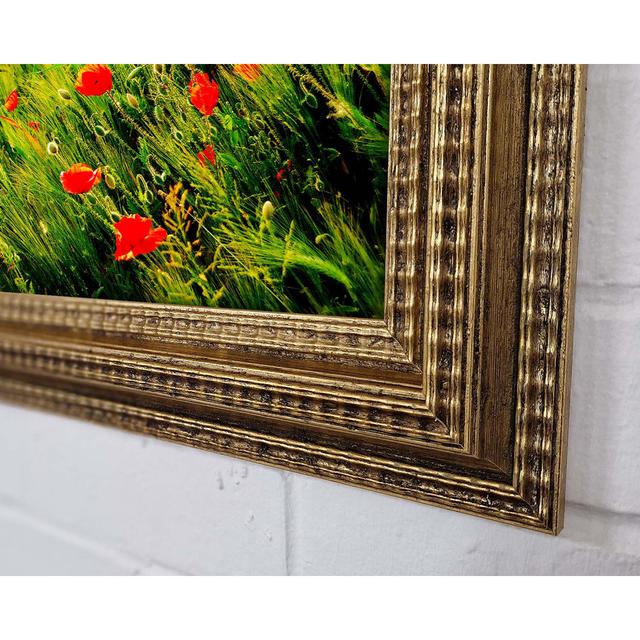 Wild Poppy Field Framed Print Ebern Designs Size: 59.1cm H x 84.1cm W on Productcaster.