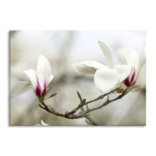 White Tree Blossoms - Unframed Photograph on Glass Brayden Studio Size: 60cm H x 80cm W x 0.4cm D on Productcaster.