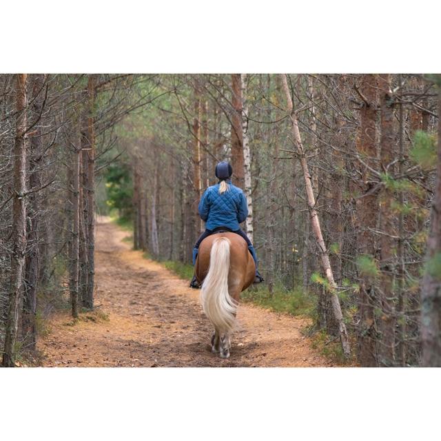 Forest Path and Rider by Sitikka - Wrapped Canvas Photograph Latitude Run Size: 81cm H x 122cm W on Productcaster.