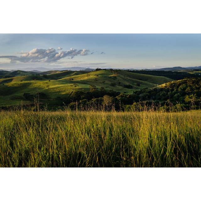 Typical Rural Landscape by Igor Alecsander - Wrapped Canvas Art Prints Alpen Home Size: 61cm H x 91cm W on Productcaster.