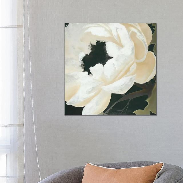 Floral Study by KC Haxton - Wrapped Canvas Painting ClassicLiving Size: 66.04cm H x 66.04cm W x 1.91cm D on Productcaster.