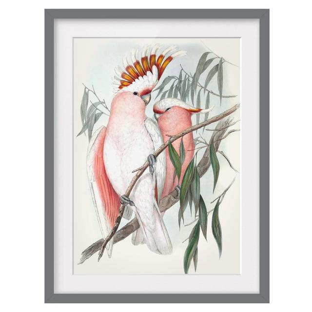 Pastel Parrots I - Picture Frame Painting Bay Isle Home Frame Option: Grey, Size: 100cm H x 70cm W x 2cm D on Productcaster.