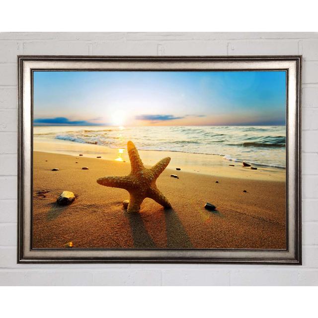 Starfish Sun Glow Framed Print Highland Dunes Size: 59.7cm H x 84.1cm W x 1.5cm D, Format: Natural Framed Paper on Productcaster.