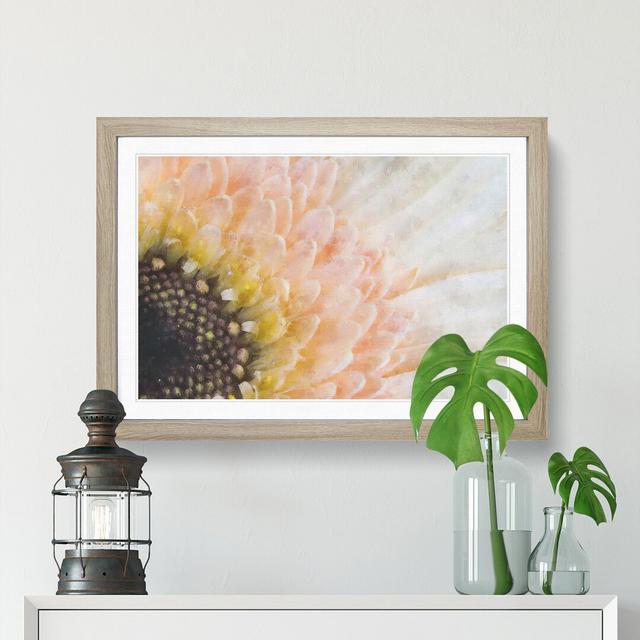 Petals of a Pink Gerbera Flower - Picture Frame Graphic Art Print East Urban Home Format: Oak, Size: 62cm H x 87cm W x 2cm D on Productcaster.