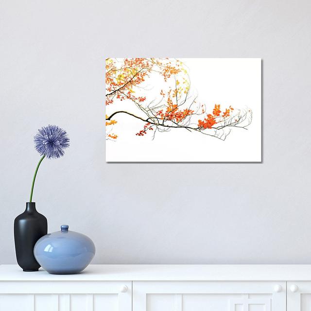 Delicate Autumn by Philippe Sainte-Laudy - Wrapped Canvas Print ClassicLiving Size: 30.48cm H x 45.72cm W x 1.91cm D on Productcaster.