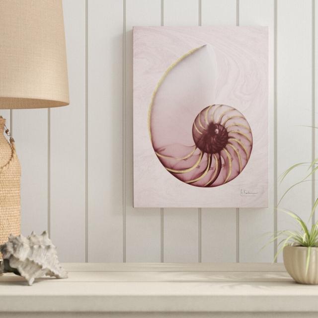 Marble Blush Snail 1 - Wrapped Canvas Print East Urban Home Size: 81 cm H x 61 cm W on Productcaster.