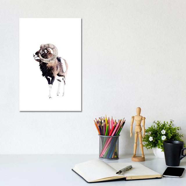 Mouflon Ram White by Monika Strigel - Wrapped Canvas Painting Natur Pur Size: 30.48cm H x 20.32cm W x 1.9cm D on Productcaster.