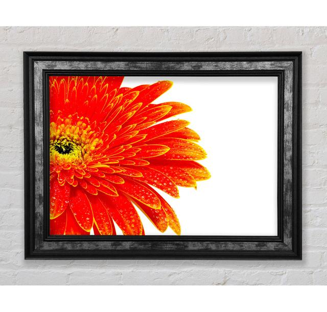 Lava Petals - Single Picture Frame Art Prints Bright Star Size: 29.7cm H x 42cm W x 8cm D on Productcaster.