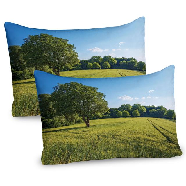 Uplifting Nature Photo Microfiber Sham (Set of 2) East Urban Home on Productcaster.