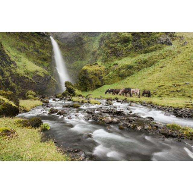 Waterfall Horses I by PHBurchett - Wrapped Canvas Print Gracie Oaks Size: 20cm H x 30cm W x 3.8cm D on Productcaster.