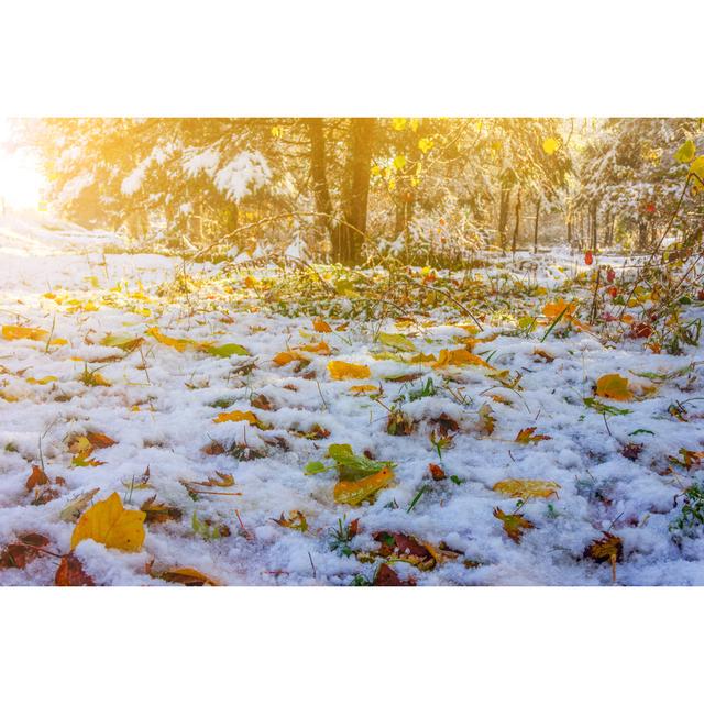 Autumn Landscape - Wrapped Canvas Photograph Ebern Designs Size: 20cm H x 30cm W x 3.8cm D on Productcaster.