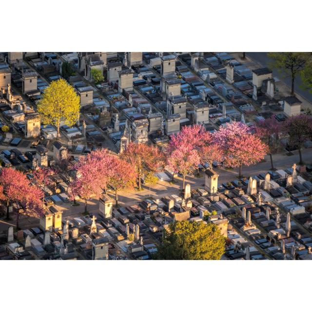 Cemetery in Paris by Extravagantni - Wrapped Canvas Photograph 17 Stories Size: 61cm H x 91cm W on Productcaster.