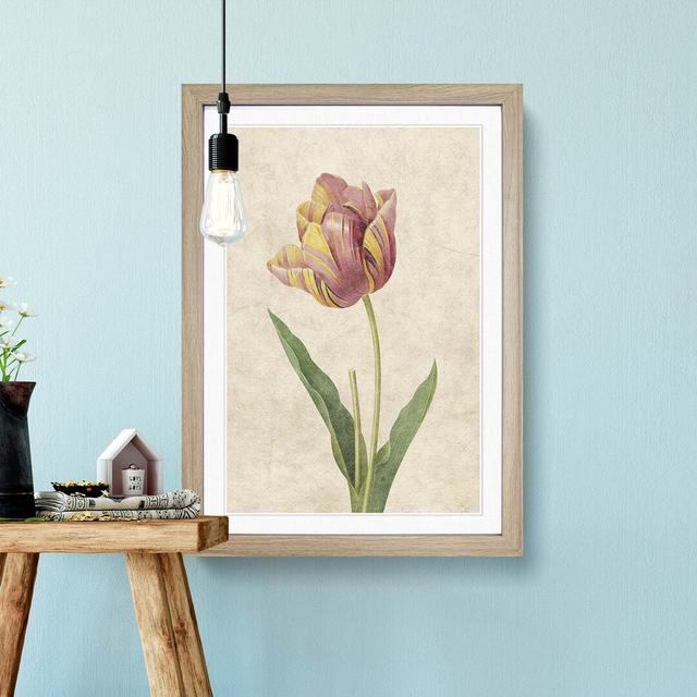 Pink Tulip by Pierre-Joseph Redoute - Picture Frame Painting Print East Urban Home Size: 36cm H x 27cm W x 2cm D, Frame Option: Oak Framed on Productcaster.