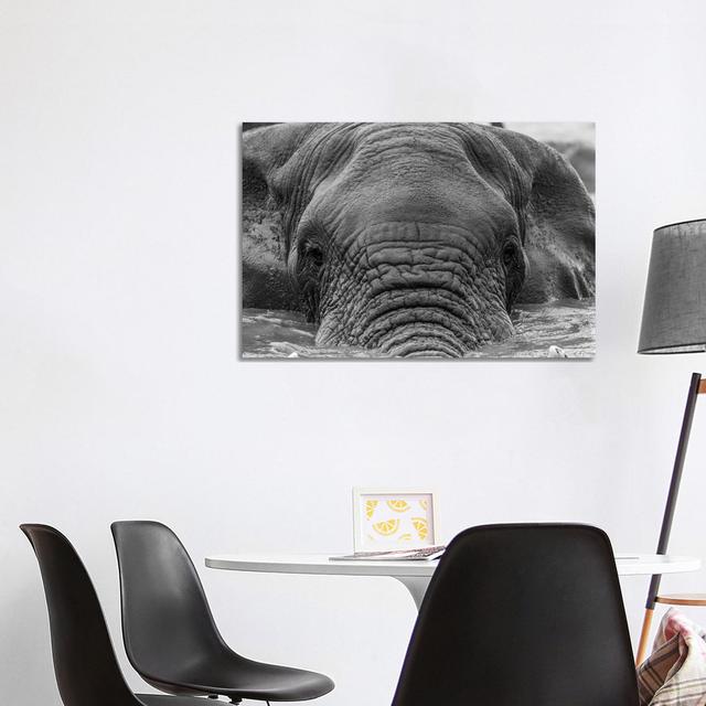 Elephant Partially Submerged by Anders Jorulf - Wrapped Canvas Print Latitude Run Size: 66.04cm H x 101.6cm W x 1.905cm D on Productcaster.