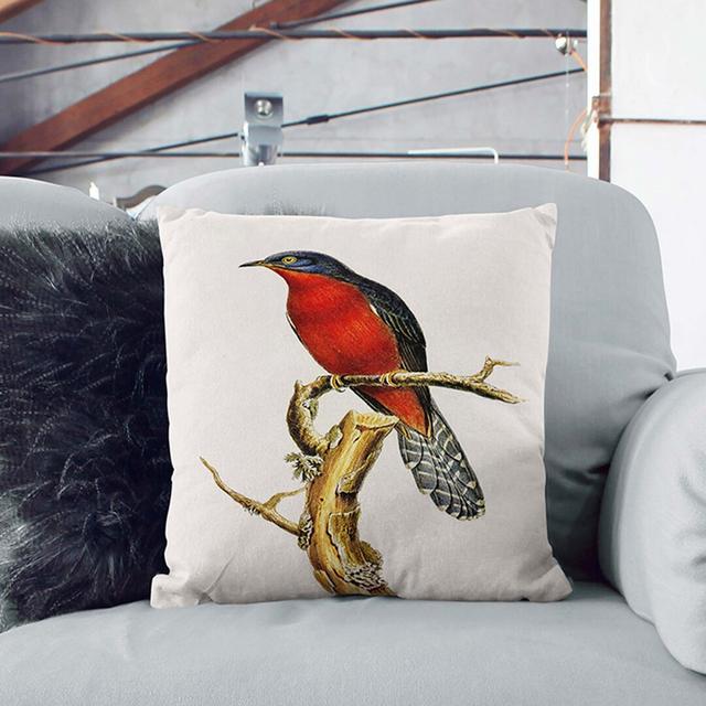 Chestnut-Breasted Cuckoo by Elizabeth Gould Cushion with Filling East Urban Home Size: 55cm H x 55cm W x 20cm D, Backing Colour: Stone on Productcaster.