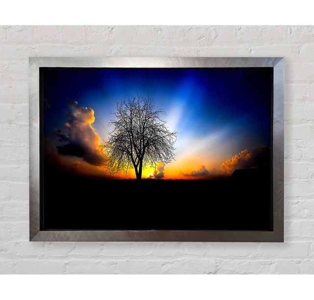 The Next Morning Framed Print Bright Star Size: 100cm H x 141.4cm W on Productcaster.