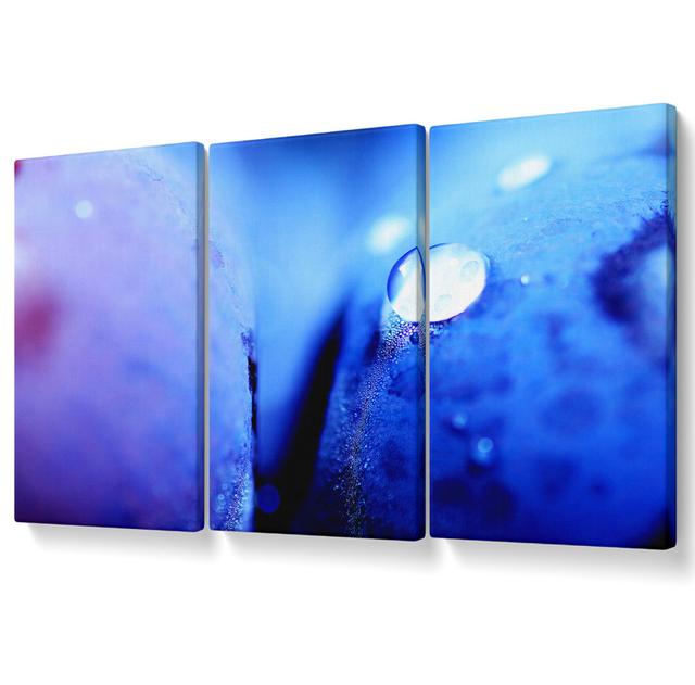 Blue Petal Water Droplet - 3 Piece Wrapped Canvas Graphic Art Ebern Designs Size: 81.3cm H x 163cm W on Productcaster.