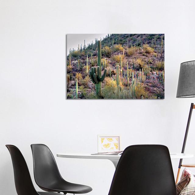 Wild Cactus Garden by Dennis Frates - Wrapped Canvas Photograph Natur Pur Size: 66.04cm H x 101.6cm W x 3.81cm D on Productcaster.