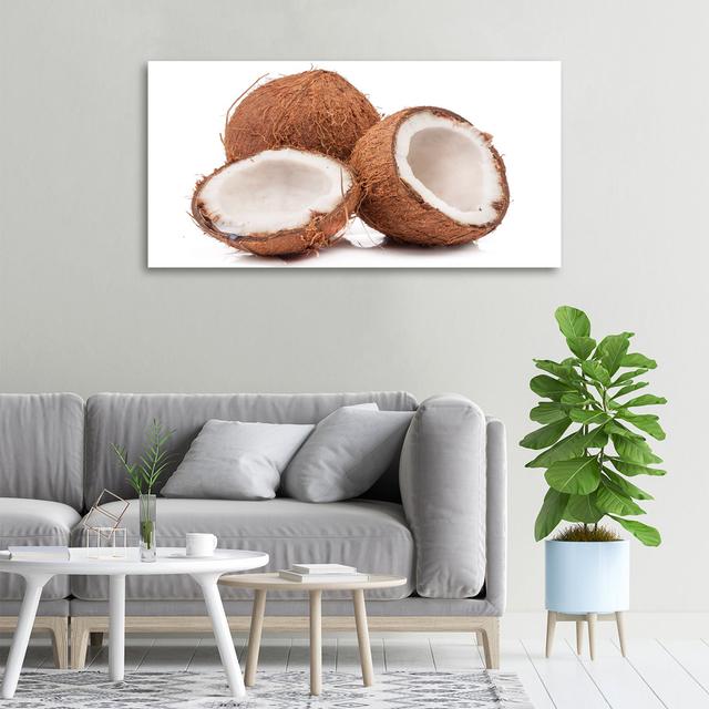 Coconut - Unframed Art Prints on Canvas Bay Isle Home on Productcaster.