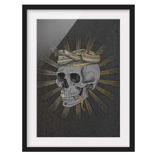 Picture With Frame - Illustration Skull And Snake Black Gold - Portrait 4:32 Maturi Size: 40cm H x 30cm W x 2cm D, Frame Option: Black Framed on Productcaster.