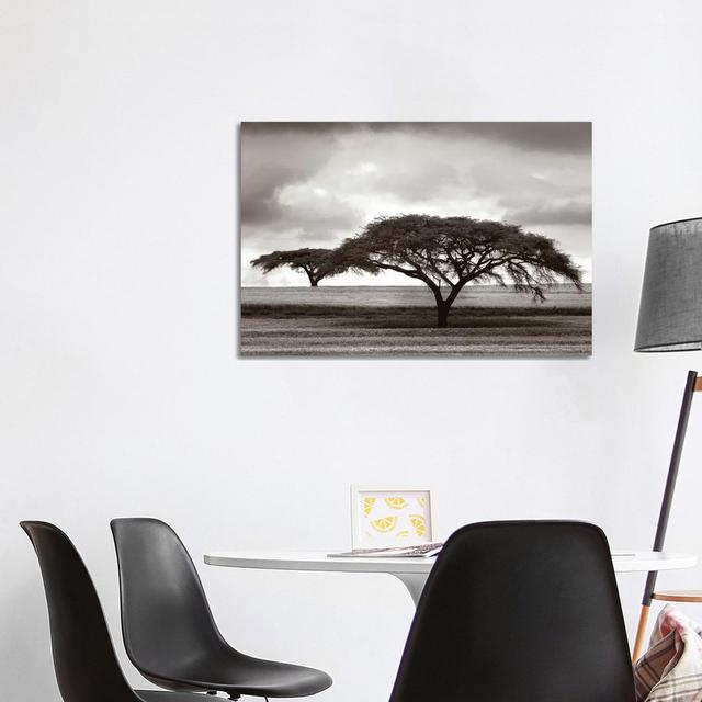 Acacia Trees by Jorge Llovet - Wrapped Canvas Photograph Latitude Run Size: 66.04cm H x 101.6cm W x 3.81cm D on Productcaster.