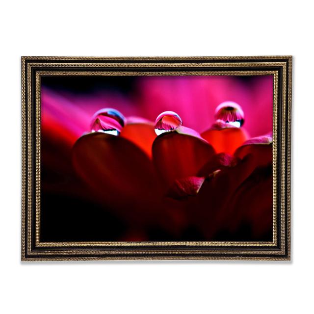 Single Picture Frame Art Prints Ebern Designs Size: 84.1cm H x 118.9cm W on Productcaster.