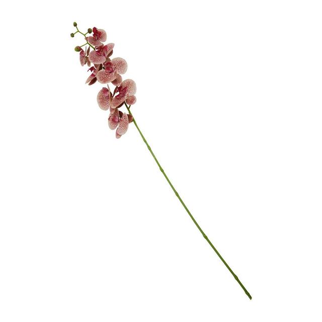 Spray Pink 100Cm Orchid Stem (Set of 2) The Seasonal Aisle on Productcaster.