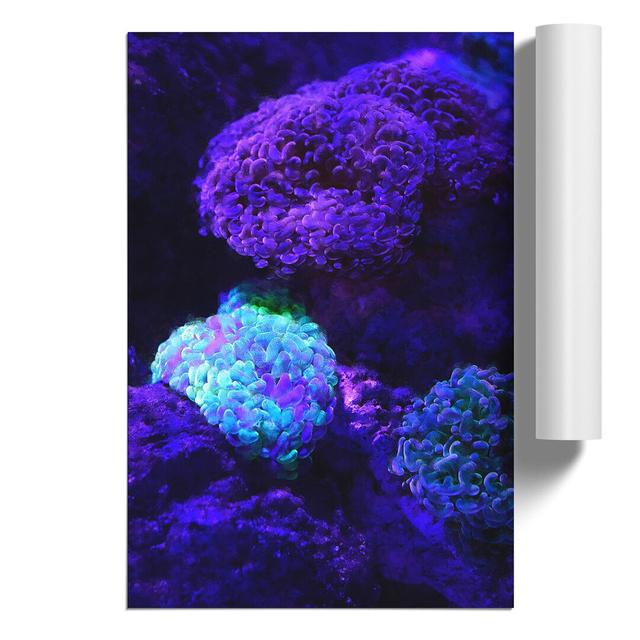 Luminescent Coral - Unframed Graphic Art East Urban Home Size: 30cm H x 21cm W x 0.1cm D on Productcaster.