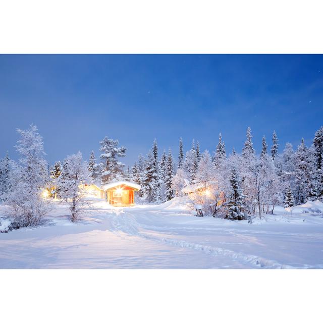 Winter Night Lapland by Vichie81 - Wrapped Canvas Photograph 17 Stories Size: 61cm H x 91cm W on Productcaster.