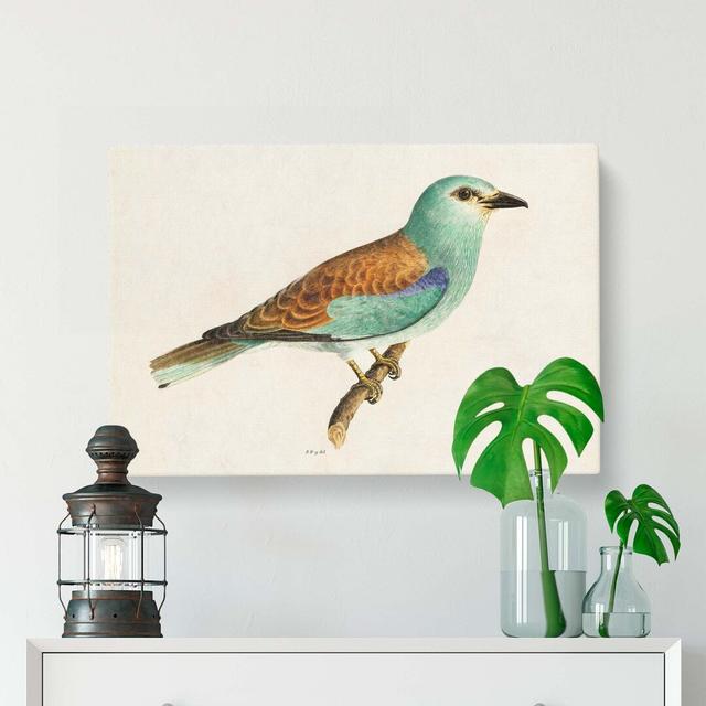 European Roller Bird by Von Wright - Wrapped Canvas Painting Print East Urban Home Size: 35cm H x 50cm W x 3cm D on Productcaster.