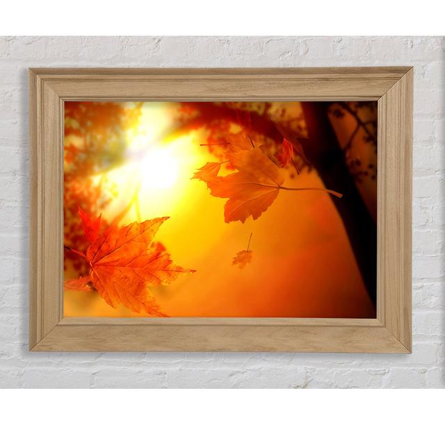 Orange Autumn - Single Picture Frame Art Prints Bright Star Size: 100cm H x 141.4cm W x 8 cm D on Productcaster.