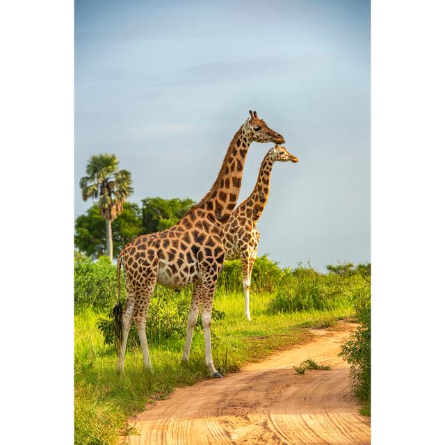 Giraffes In Northern Uganda - Wrapped Canvas Art Prints 17 Stories Size: 122cm H x 81cm W x 3.8cm D on Productcaster.