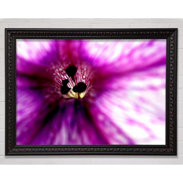 Stunning Cerise Centre - Picture Frame Art Prints Bright Star Size: 59.7cm H x 84.1cm W on Productcaster.