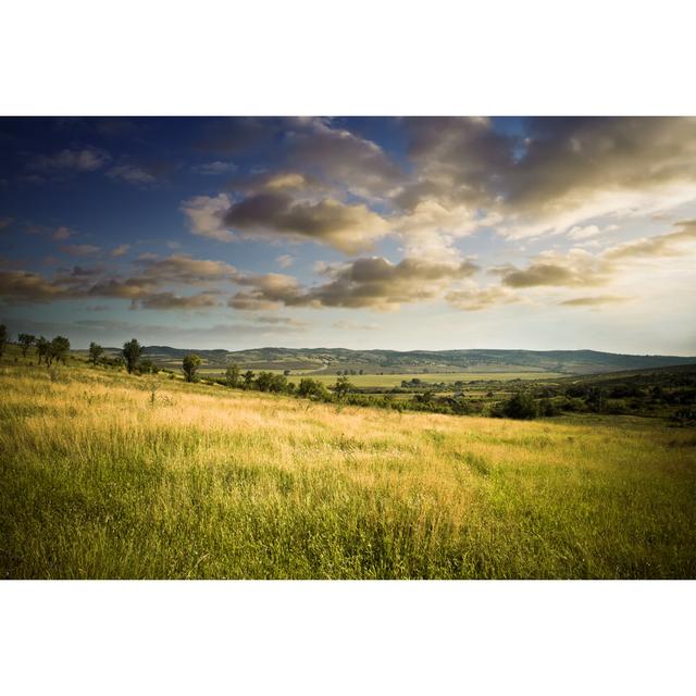 Beautiful Field In The Evening by Sankai - Print 17 Stories Size: 20cm H x 30cm W on Productcaster.