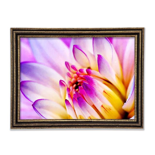 Stunning Pink Yellow Water Lily - Single Picture Frame Art Prints Ebern Designs Size: 84.1cm H x 118.9cm W x 3cm D, Format: Rembrandt Gold Framed Pape on Productcaster.