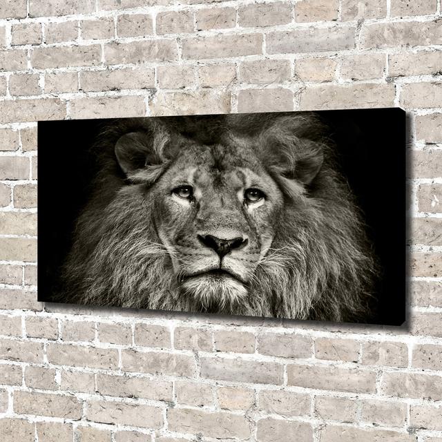 Lion - Wrapped Canvas Art Prints Bloomsbury Market on Productcaster.