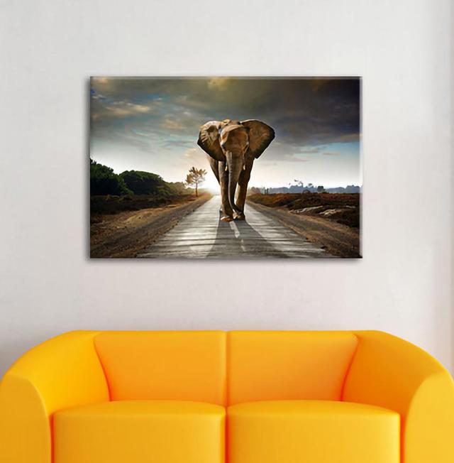 Leinwandbild Elephant Frontal on Road Running ModernMoments Maße: 60 cm H x 80 cm B x 1,8 cm T on Productcaster.