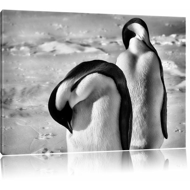 Leinwandbild Zwei Kaiserpinguine beim Putzen in Monochrom East Urban Home Größe: 70 cm H x 100 cm B on Productcaster.