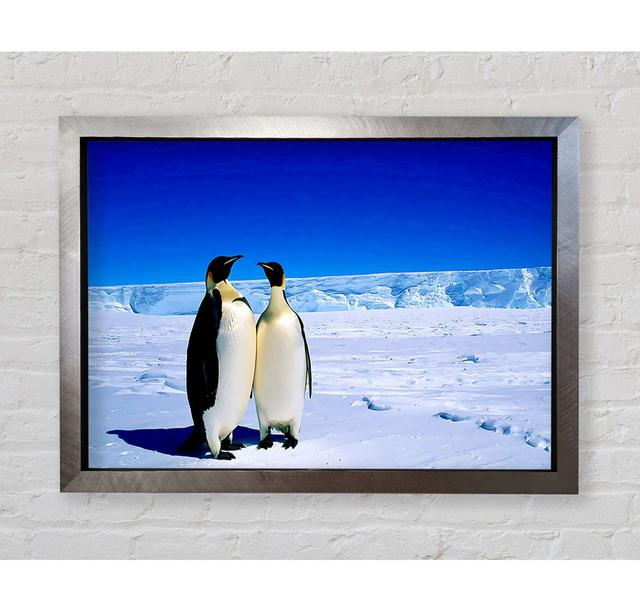 Penguin Stroll - Print Bright Star Size: 42cm H x 59.7cm W x 3.4cm D on Productcaster.