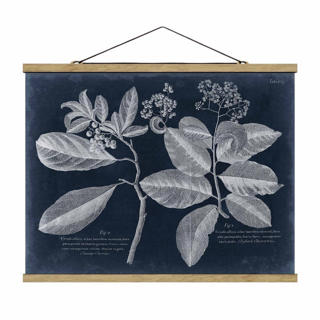 Foliage Dark Blue - Cordie - Unframed Graphic Art August Grove Size: 60cm H x 80cm W x 0.3cm D on Productcaster.