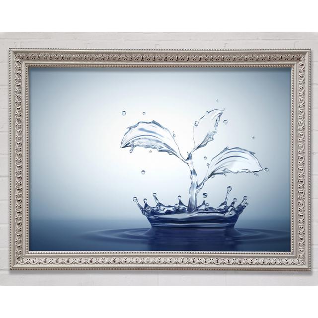 Water Splash Plant - Single Picture Frame Art Prints Bright Star Size: 21cm H x 29.7cm W x 3cm D on Productcaster.