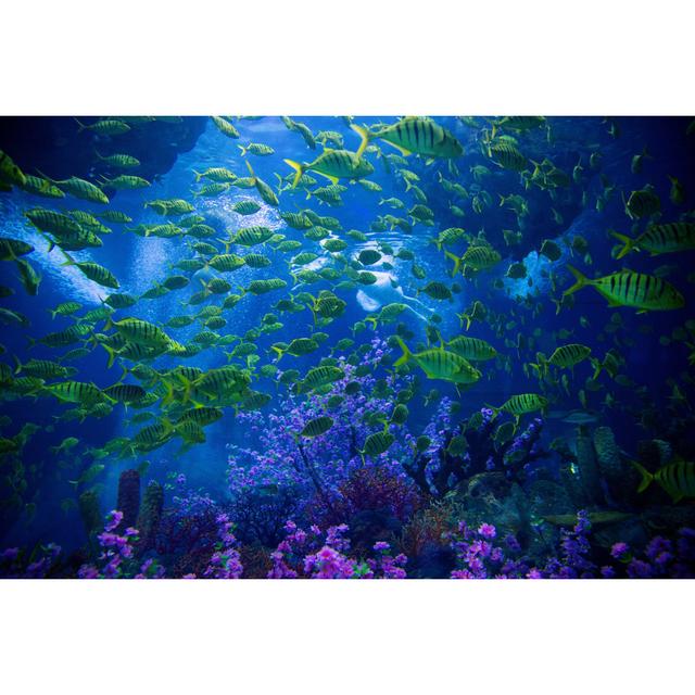 Underwater Scene With Reef by Hudiemm - No Frame Art Prints on Canvas Beachcrest Home Size: 20cm H x 30cm W on Productcaster.