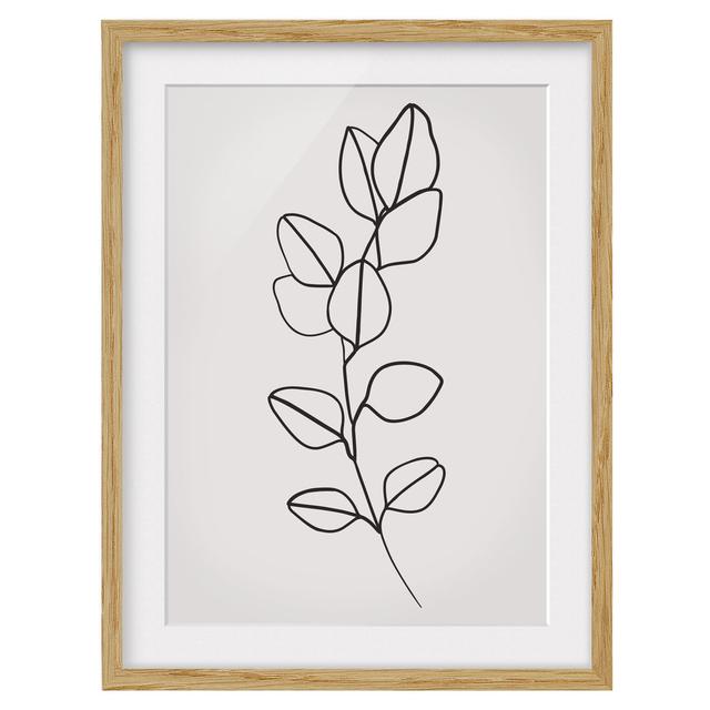 Line Art Branch Leaves Black White - Picture Frame Drawing Rosalind Wheeler Size: 70cm H x 50cm W x 2cm D, Frame Option: Brown on Productcaster.