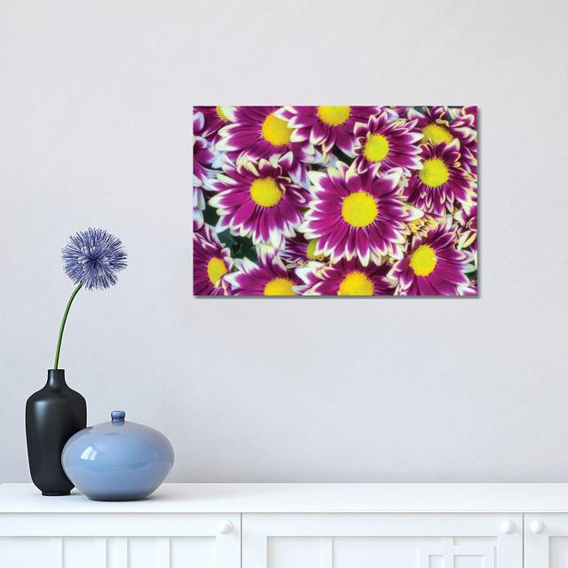 Colorful Flower Background by Glauco Meneghelli - Wrapped Canvas Gallery-Wrapped Canvas Giclée Latitude Run Size: 30.48cm H x 45.72cm W x 1.9cm D on Productcaster.