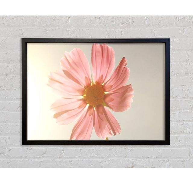 Summer Sun - Single Picture Frame Art Prints on Canvas Bright Star Size: 84.1cm H x 118.9cm W on Productcaster.