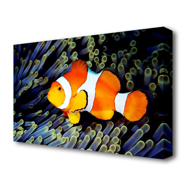 Clown Fish Wildlife - Wrapped Canvas Graphic Art Print East Urban Home Size: 66 cm H x 101.6 cm W x 4.4 cm D on Productcaster.